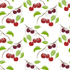 Sketch cherry.Cherry  seamless pattern.Image on a white and color background.