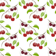 Sketch cherry.Cherry  seamless pattern.Image on a white and color background.