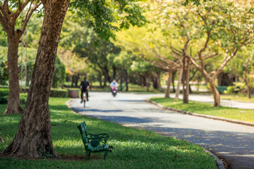 Close-up view of the various plants planted in the park,for the beauty of the spectators,fresh and comfortable,while resting during the day