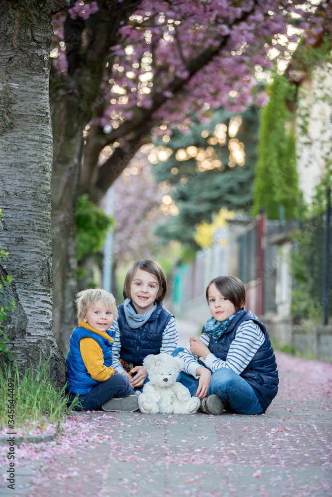 Poster Children, playing on the street with blooming pink cherry trees on sunset