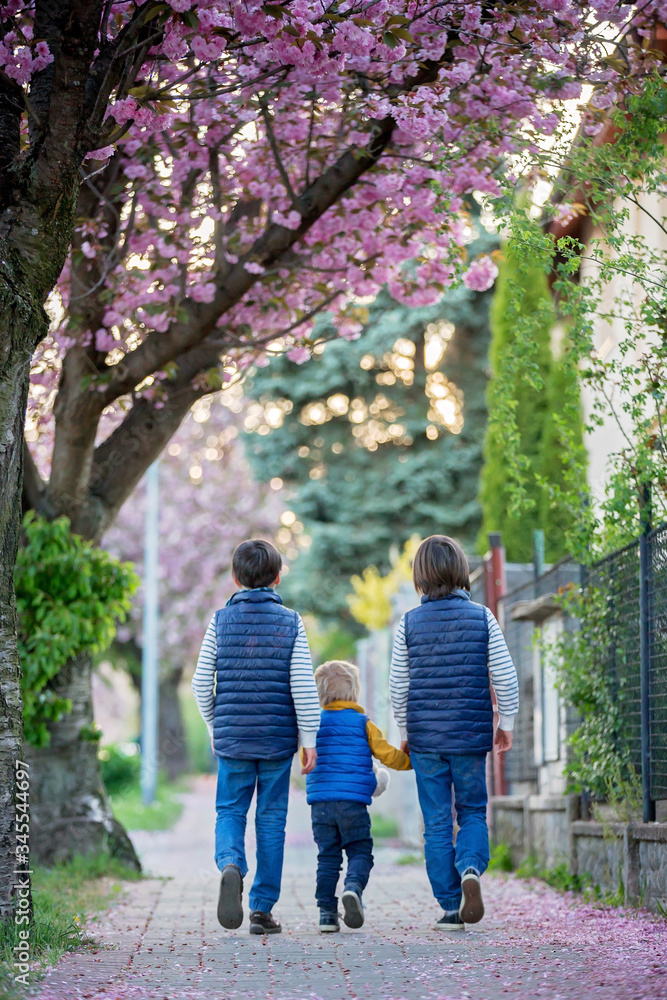 Wall mural Children, playing on the street with blooming pink cherry trees on sunset