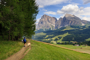 Fototapeta na wymiar passeggiata con il cane all'alpe di Siusi. Sullo sfondo il Sassolungo e il Sassopiatto.