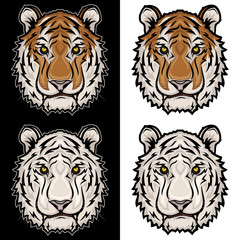 Set Tiger head. White tiger. Vector illustration.