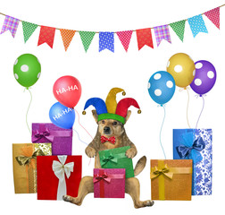 The beige dog in a jester hat and a red bow tie is sitting near his gift boxes and multi-colored balloons. There are colorful party flags above him. White background. Isolated.