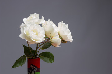 Rosa is the flower of spring, ideal for love