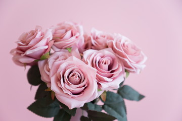pink rose flower present for valentine day .