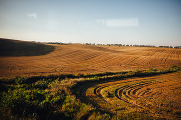 Mowed field in the sunset 