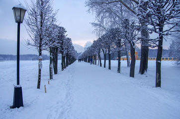 MOSCOW, RUSSIA - Yanuary, 2020: Winter evening view of the Kuskovo estate