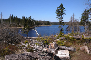 Wandern um den Oderteich