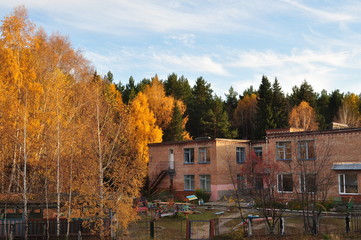 Fototapeta na wymiar Gold autumn. The view from the window in a village near the city of Tomsk from Siberia in Russia