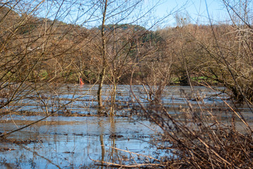 Hochwasser am Fluss Main mit starker Strömung bei Großwallstadt im März 2020 bei Gegenlicht