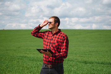 Smiling happy young farmer or agronomist using a tablet in a wheat field. Wide angle panoramic photo. Organic farming and healthy food production