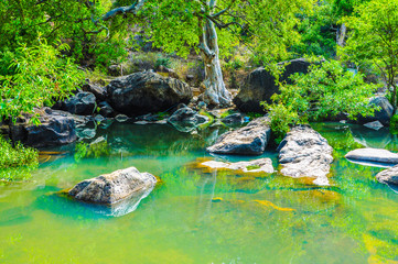 waterfall in the forest