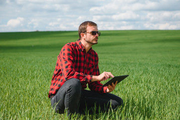 Naklejka na ściany i meble happy farmer in the fields with a laptop computer