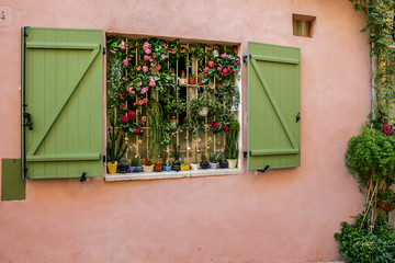 Window with flowers and plants of all kinds and varieties