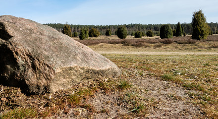 Rocks in front of a heath landscape with juniper bushes, relic of the ice age in Europe