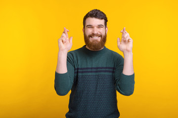 Smiling bearded man is making hope or wish gesture with both hands on yellow background.
