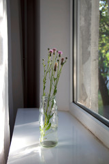 A carafe of flowers stands on a windowsill.