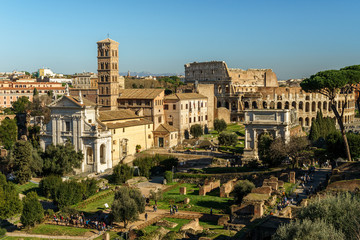 Obraz premium The Roman Forum 