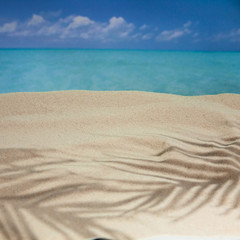 Fototapeta na wymiar the beach of a tropical Paradise sea island, with shells and the shade of palm trees