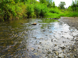  mountain river with clear water in summer 