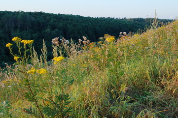 View of the countryside