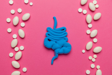 Human intestines, constipation and digestive problems. Treatment with probiotics, bowel irritation.