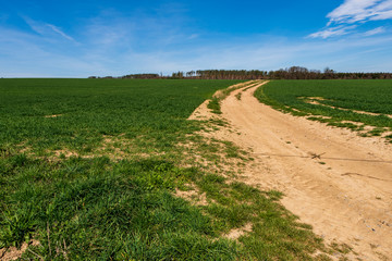 dirt road through a green field with trees in the background and clouds in the sky on a sunny day