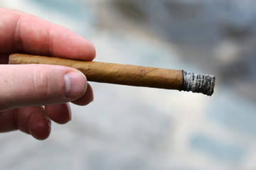 hand with a burnt cigar
