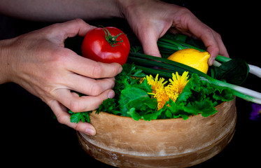 Salad set. Home cultures. Horticulture.
