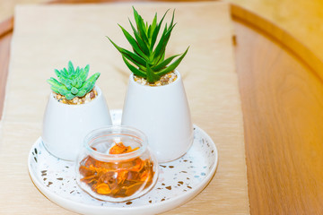 Close up view of flowerpot