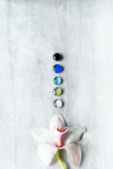 gray background, postcard, flowers, flowers on a gray background, spring, congratulation