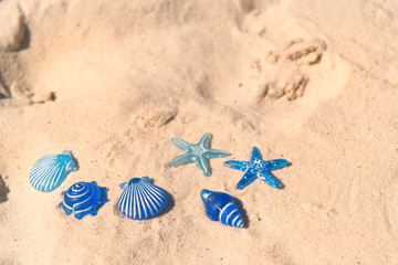 Blue Star fish at the beach