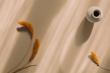Minimal neutral beige background. Top view of ceramic vase, decorative fluffy spikelets. Minimalist blog hero header template, copy space.