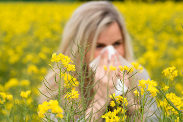 Young woman suffers from allergy in a rape field and has to sneeze