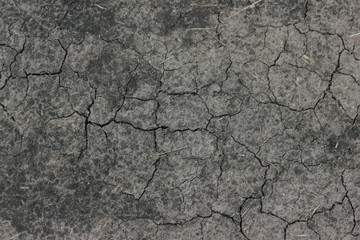 Old dry cracked dry ground texture of the earth