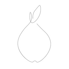 Pear fruit silhouette on white background, vector illustration