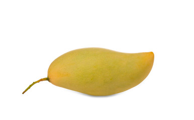 Isolated yellow mango. One whole mango fruit isolated on white background with clipping path....