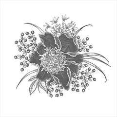 Schöne Gartenblumen. Schwarzer Blumenstrauß auf weißem Hintergrund. Jahrgang © marinavorona