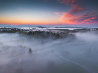 Fog and mist covering the forest in Lithuania