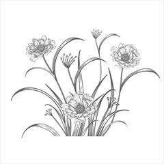 Süße Gartenblumen. Schwarzer Blumenstrauß auf weißem Hintergrund. Jahrgang © marinavorona