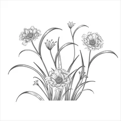 Süße Gartenblumen. Schwarzer Blumenstrauß auf weißem Hintergrund. Jahrgang © marinavorona