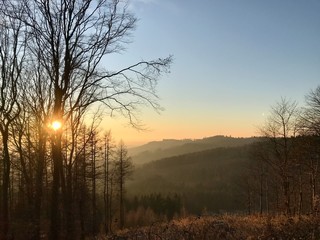 Sonnenuntergang im Wald