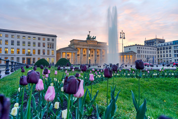 Wonderful panoramic view over colorful tulips in green grass past a fountain on the Berlin Brandenburg Gate in the sunset with beautiful clouds. Spring time in Germany - paris square in Berlin city © Peter Jesche