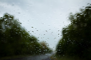 rain drops on a car window