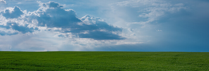 Obraz na płótnie Canvas Cloudy blue sky and green young wheat panoramic shot web banner