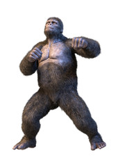 3D Rendering Gorilla Ape on White