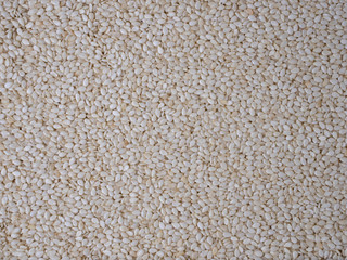 Background of lots of white sesame seeds.