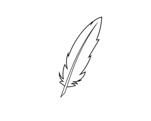 Writing Quill Feather Pen Vector