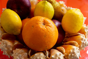 tray of natural seashells with fresh fruit.